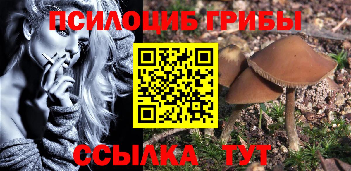 Псилоцибиновые грибы мицелий  где найти наркотики  Мыски  Вход с VPN 
