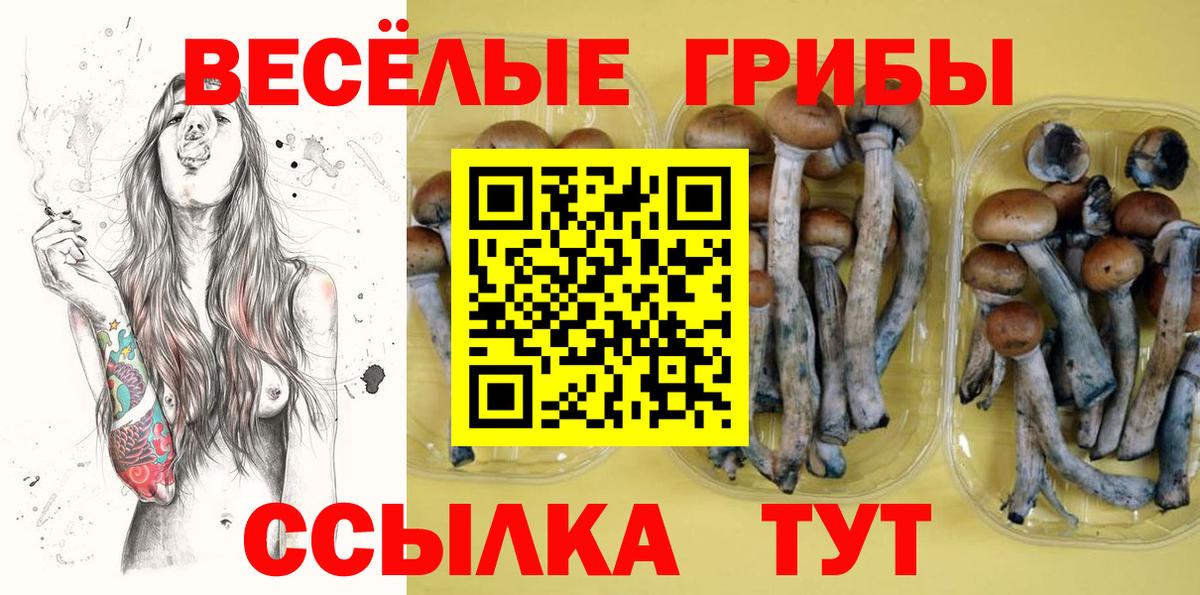 Галлюциногенные грибы Magic Shrooms Мыски